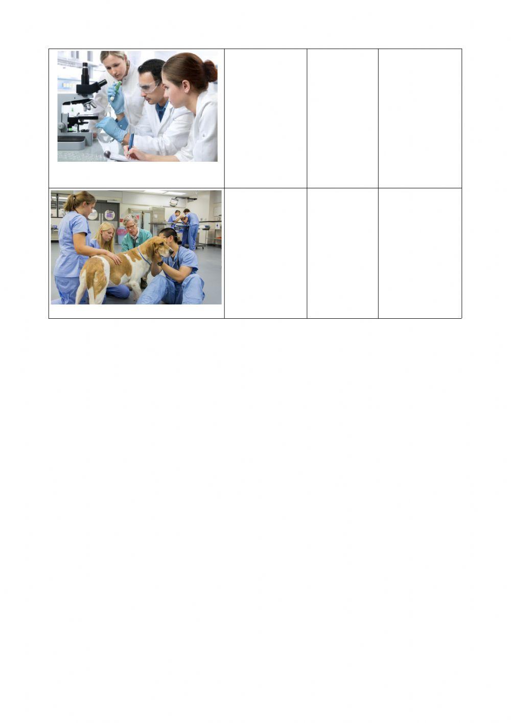 Oficis i llocs de treball