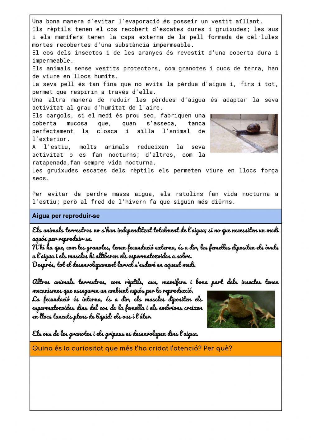 Comprensió lectora-Animals terrestres i l'aigua