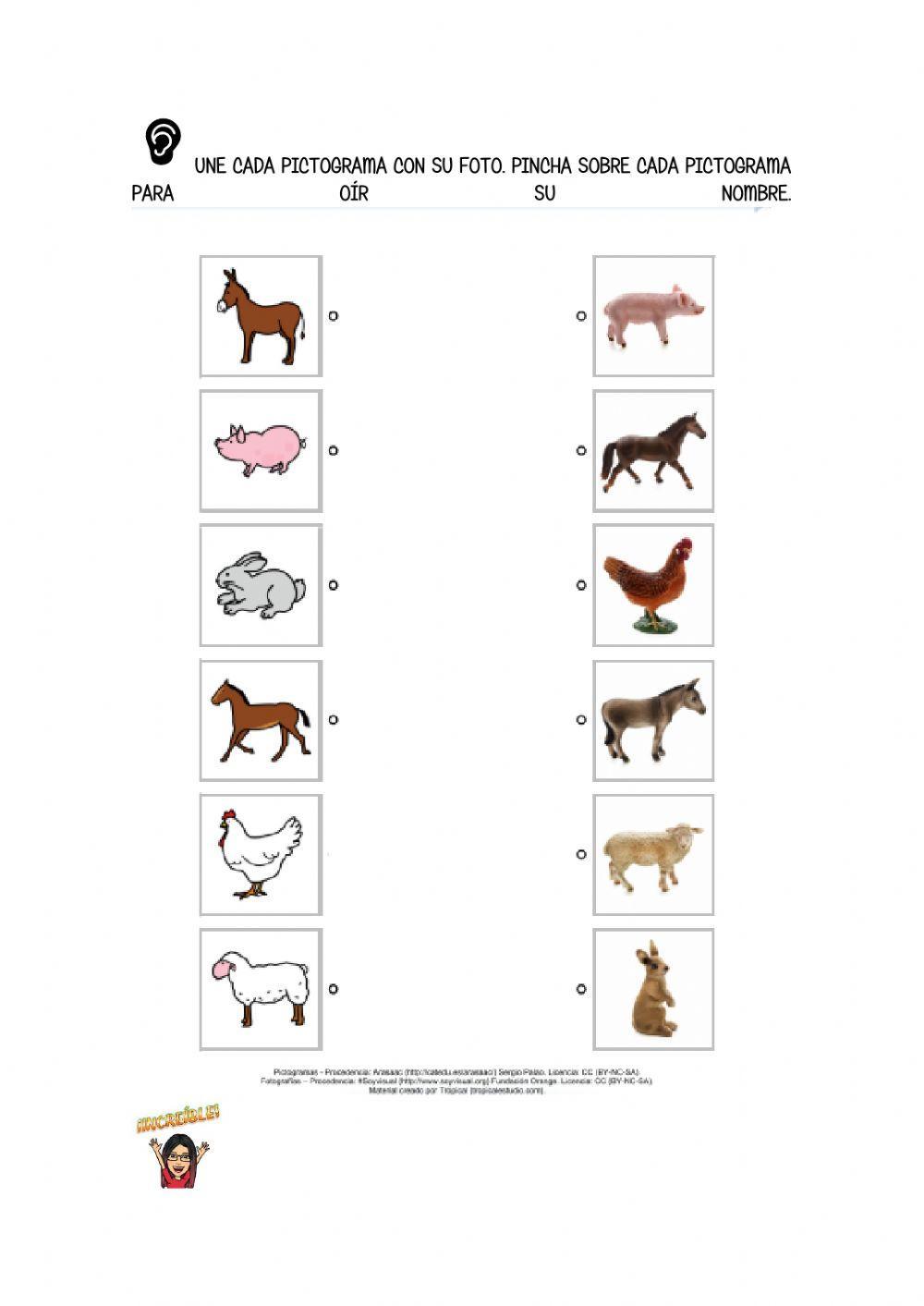 Animales pictogramas