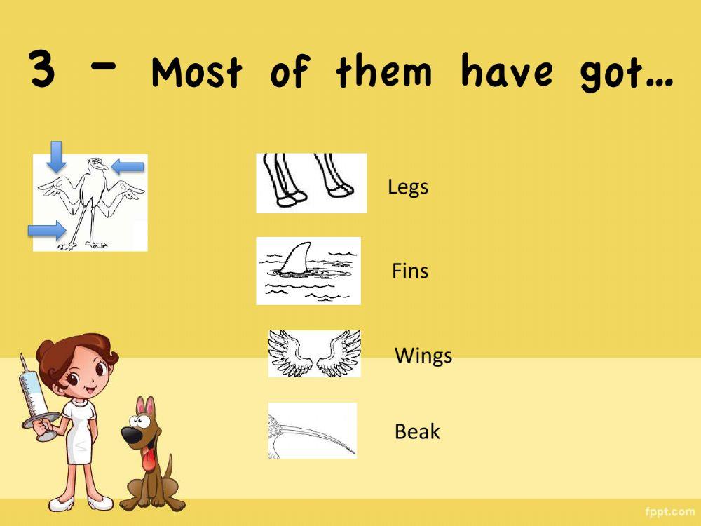 BirdsGame BirdsGame