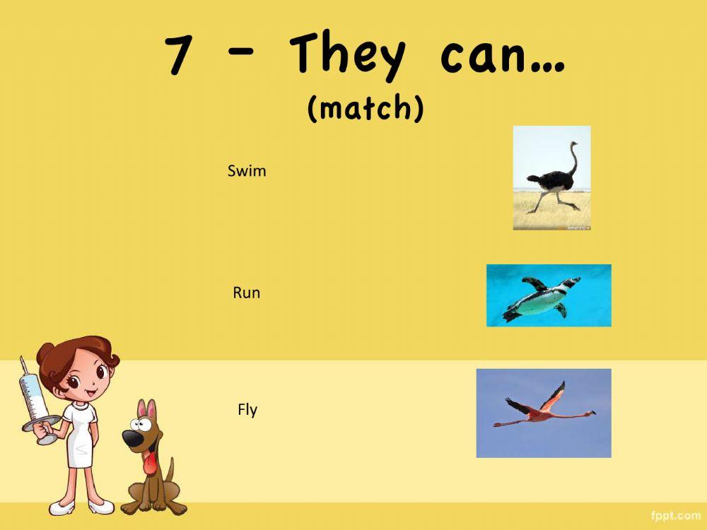 BirdsGame BirdsGame
