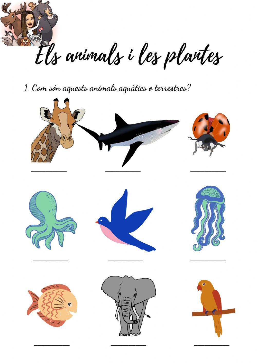 Els animals i les plantes