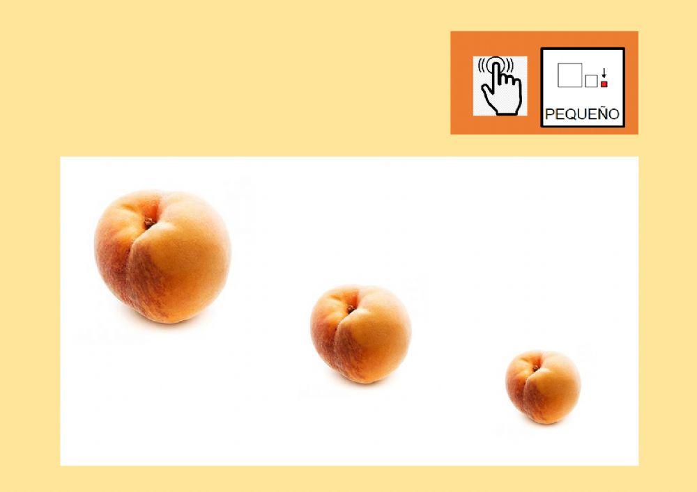 Busca el objeto del verano pequeño