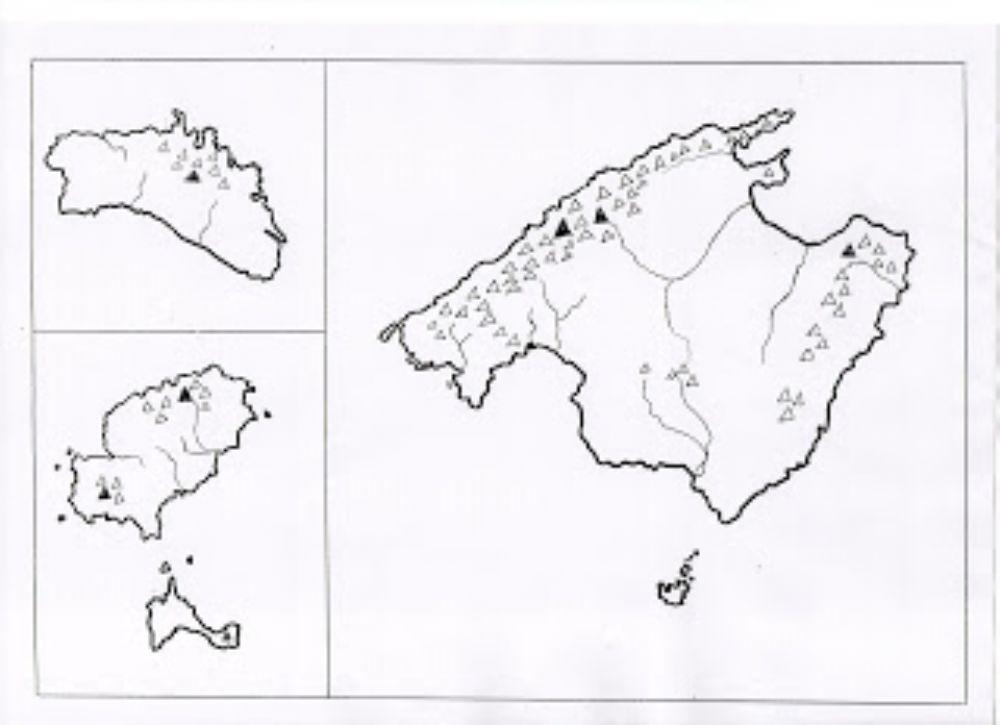 Relleu illes balears