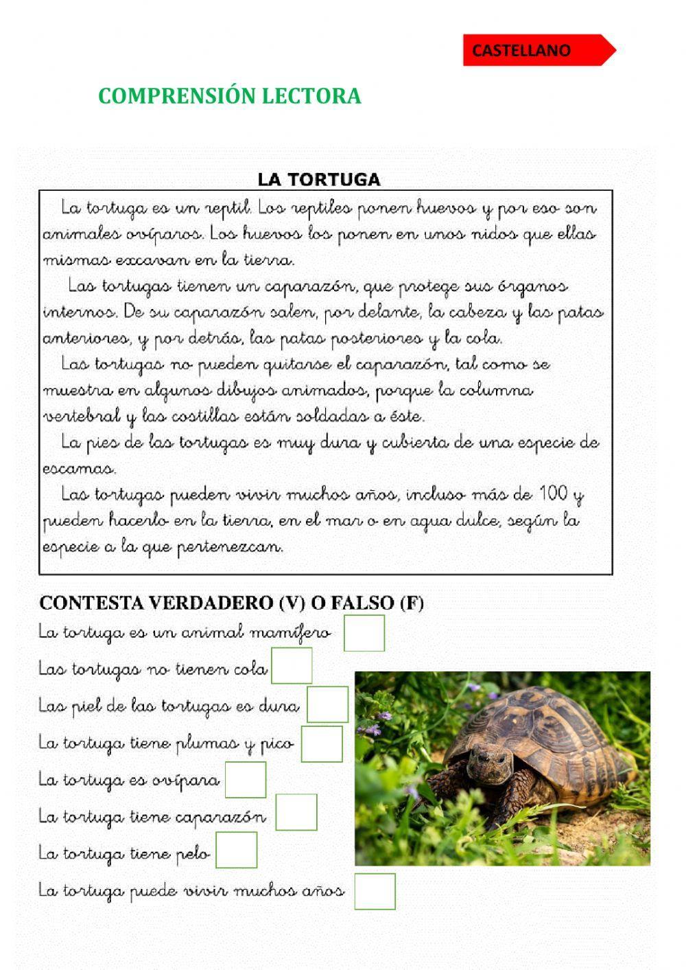 Comprensión lectora: La tortuga