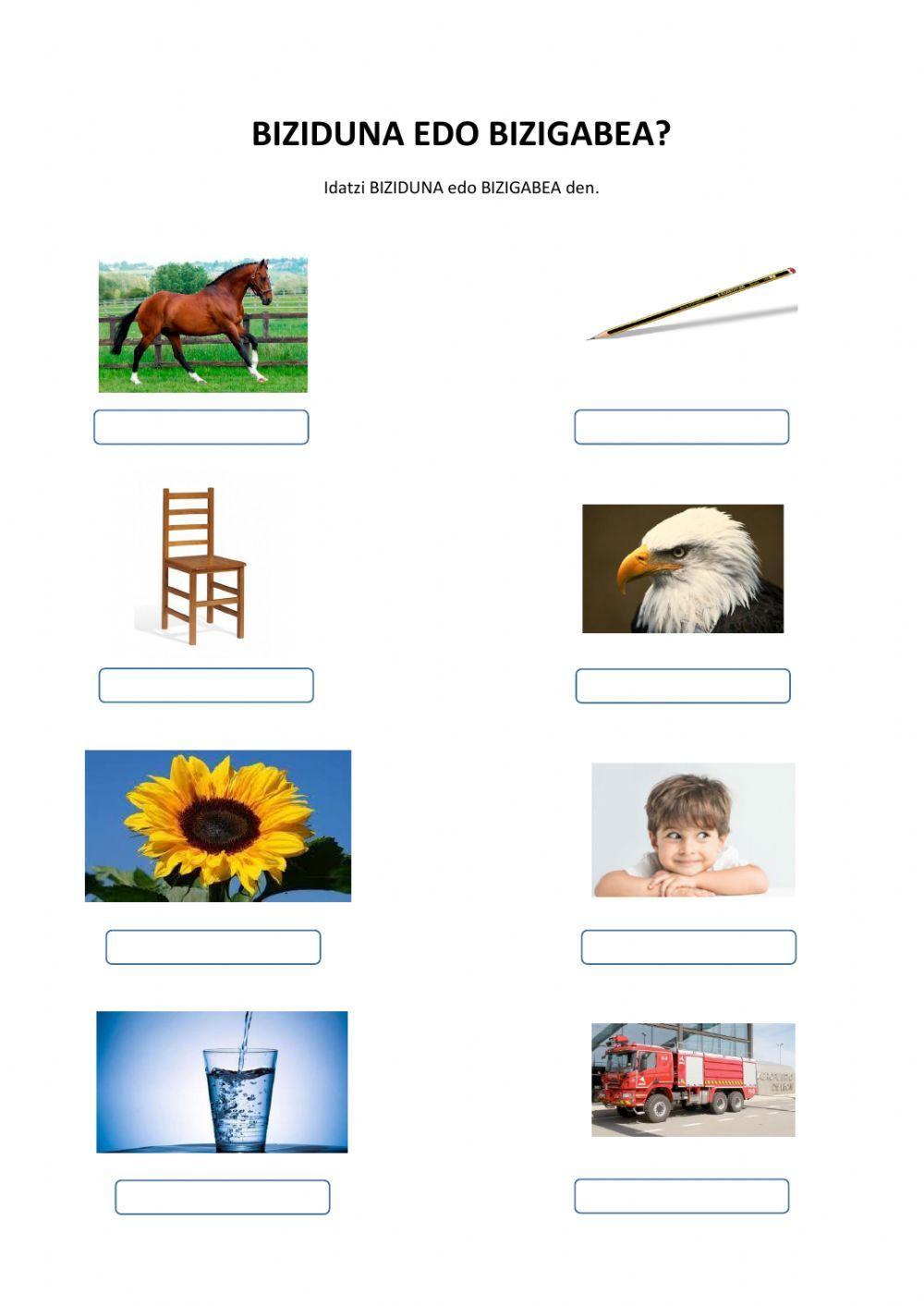 Biziduna edo bizigabea