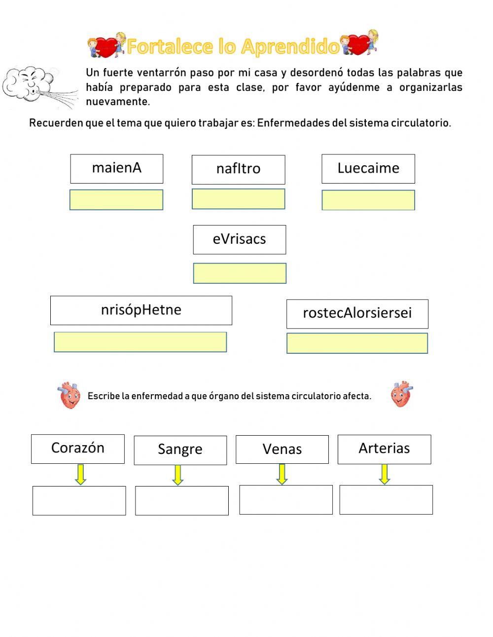 Enfermedades sistema circulatorio