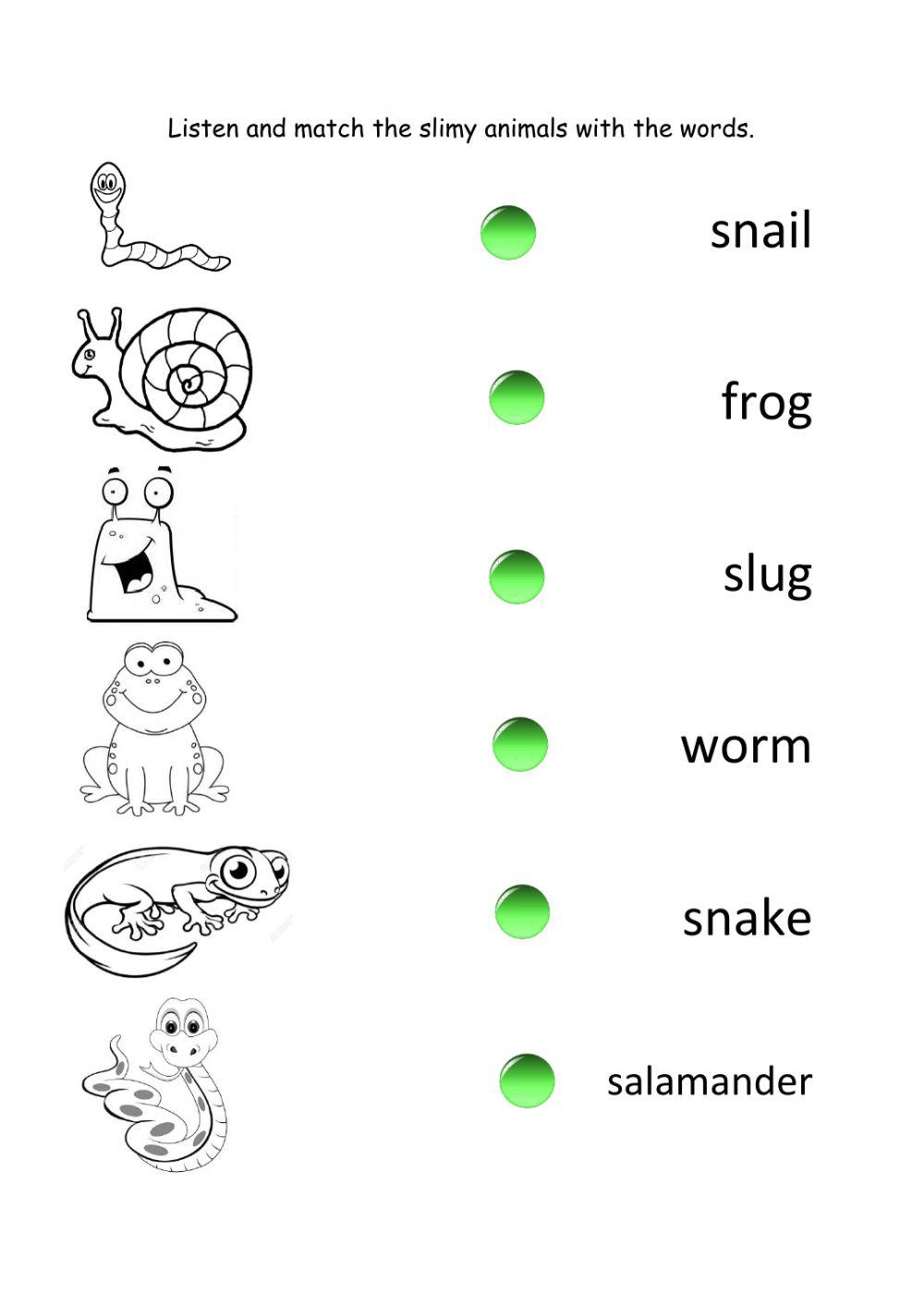 Slimy Animals Worksheet