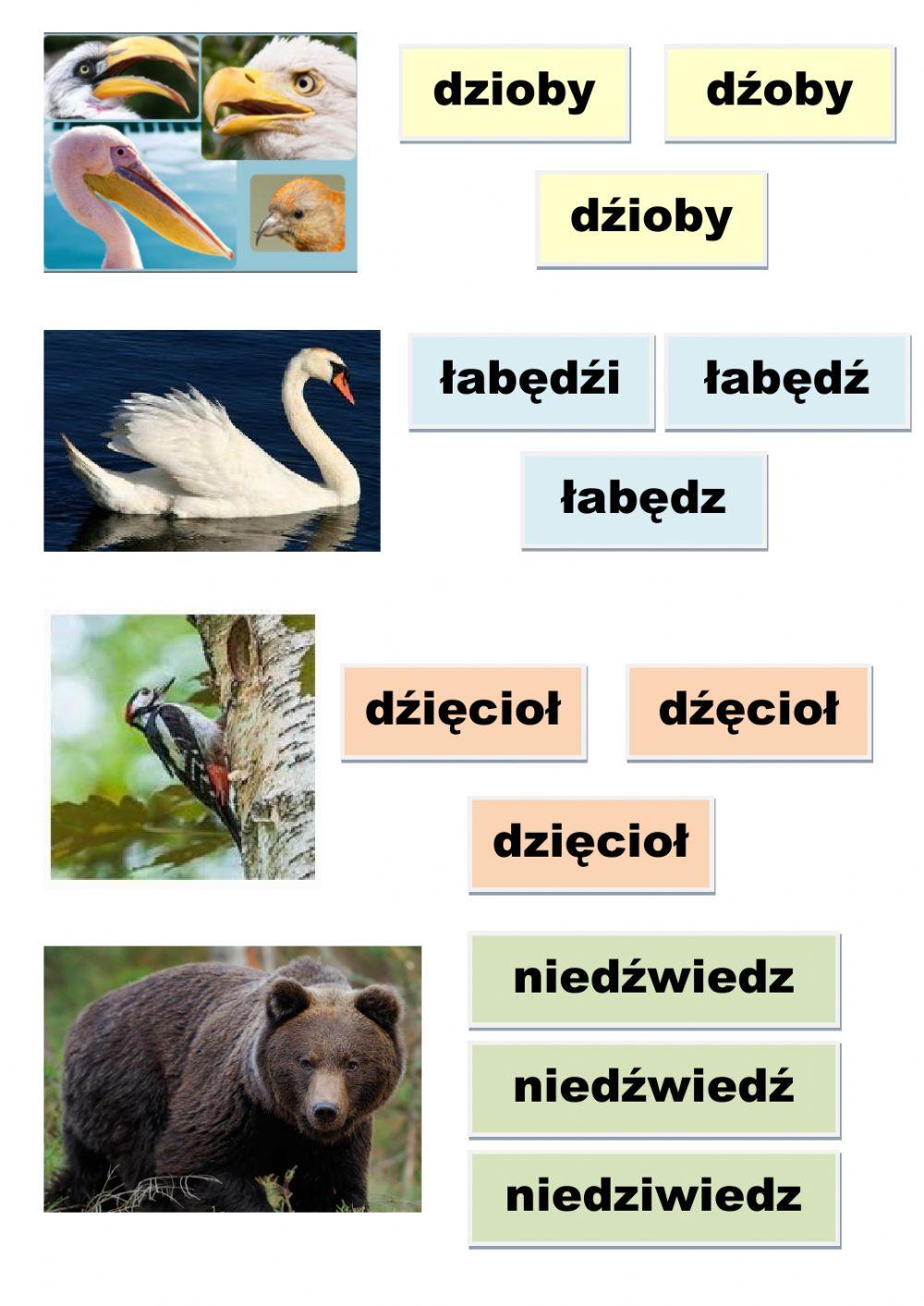 Zmiękczenia dź, dzi