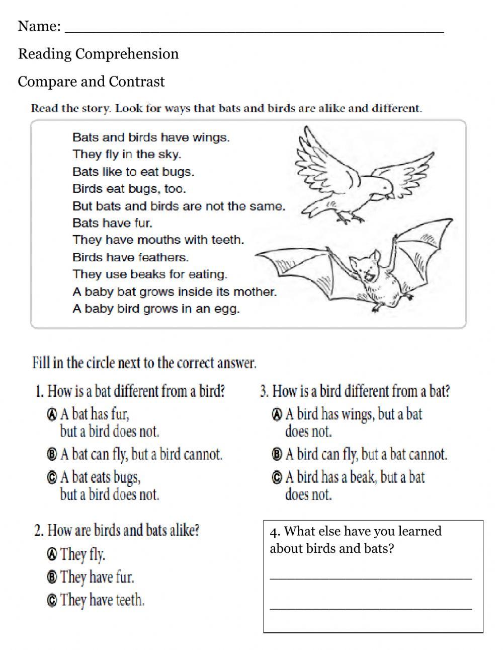 Various Worksheets