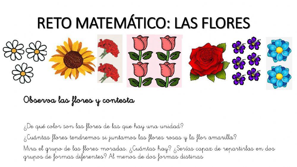 Reto matemático flores