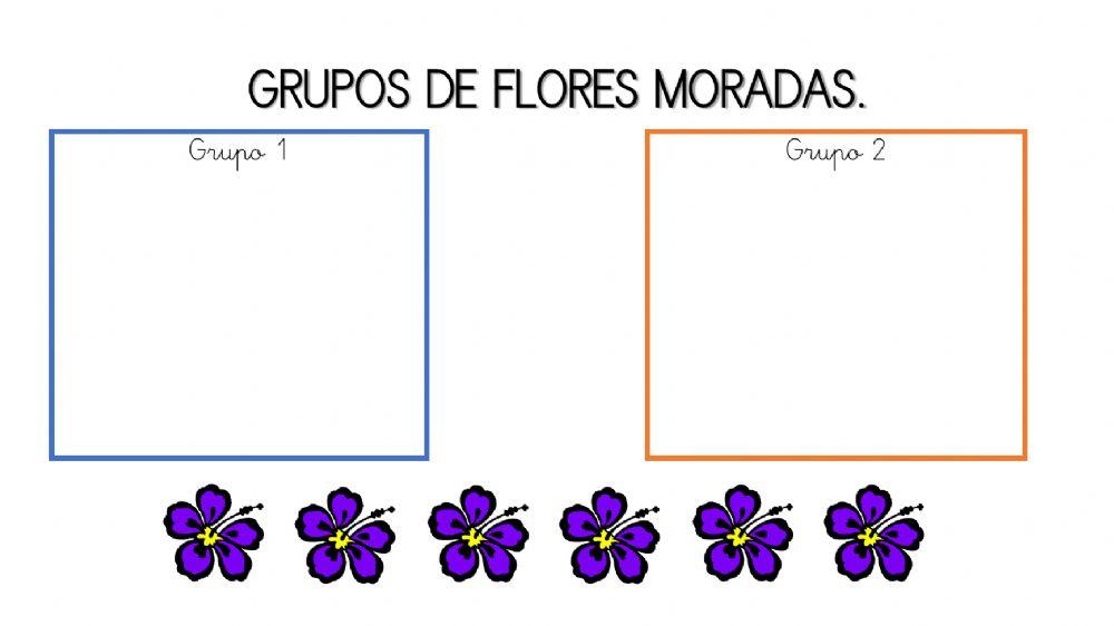 Reto matemático flores