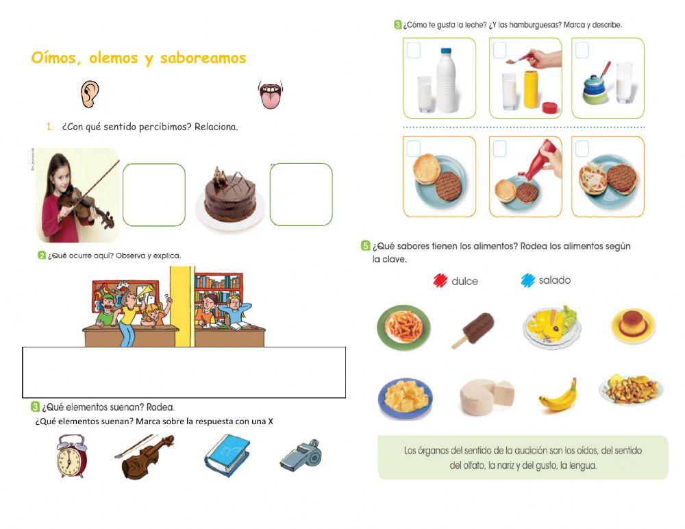 Afianzamos nuestros aprendizajes: los sentidos