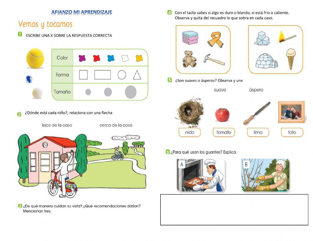 Afianzo mis conocmientos en los sentidos