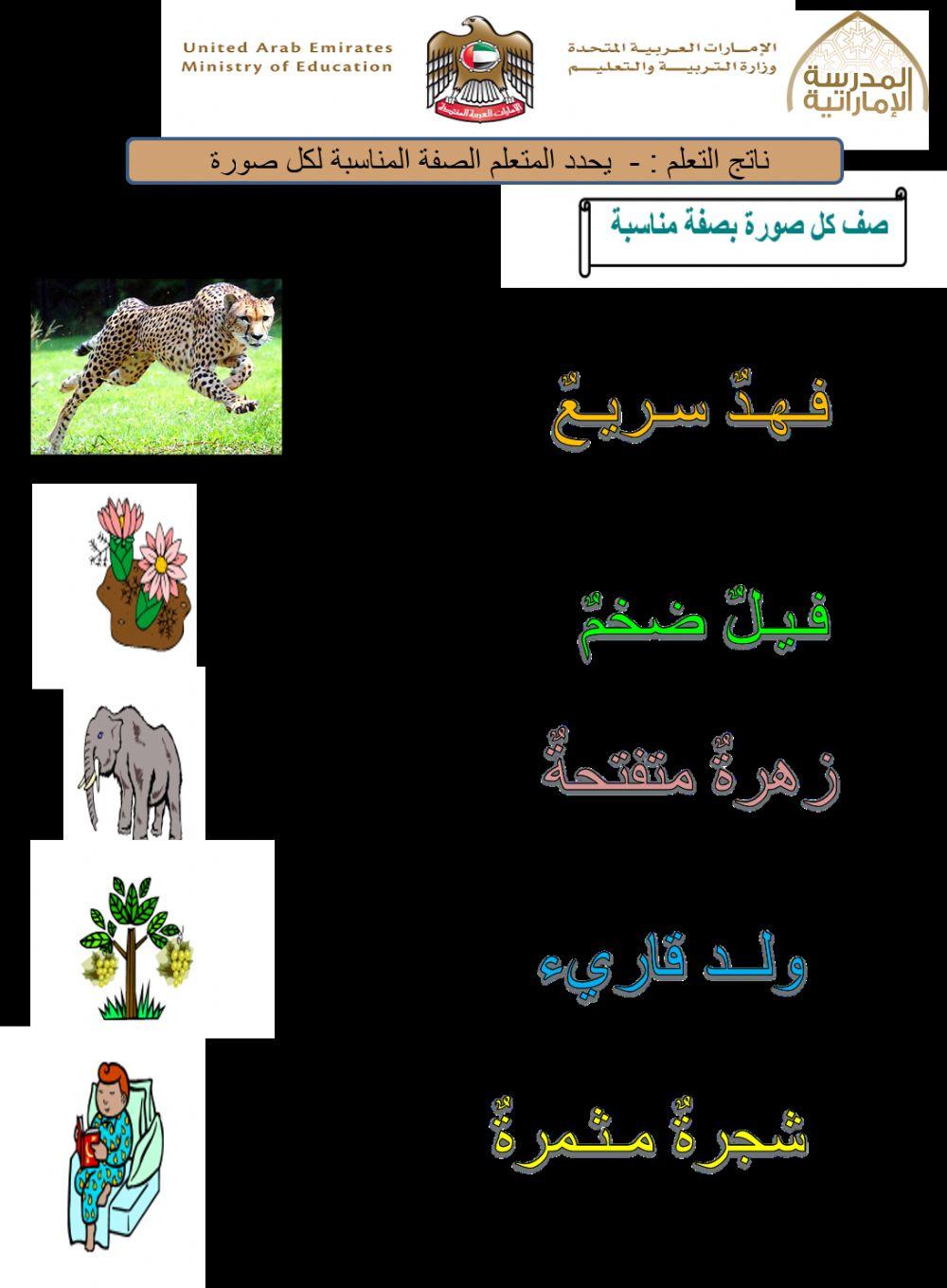 صل الصفه بالصورة المناسبة