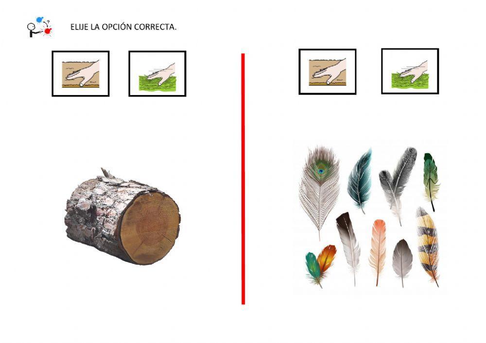 Conceptos contrarios: suave y rugoso