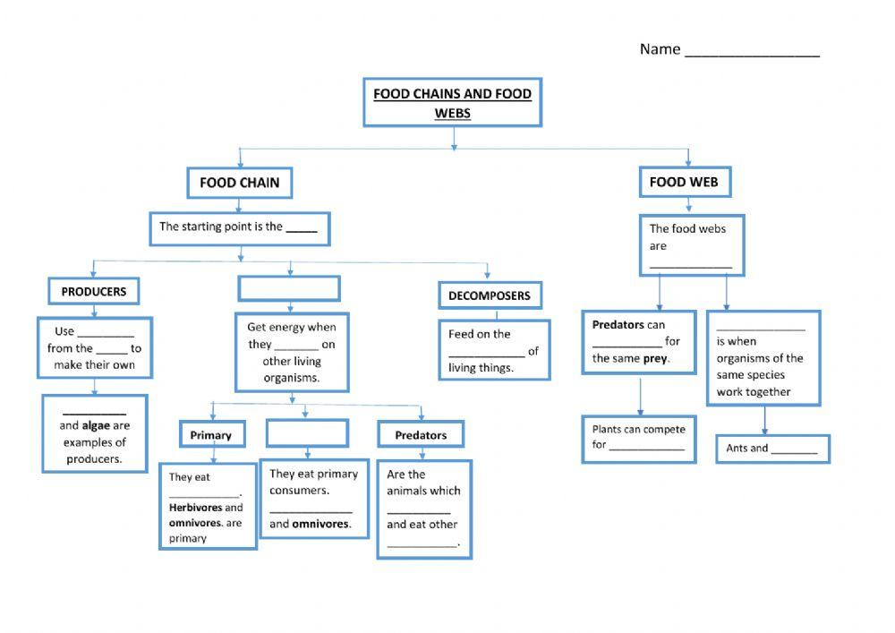 Unit 3 Food Chains Complete Scheme