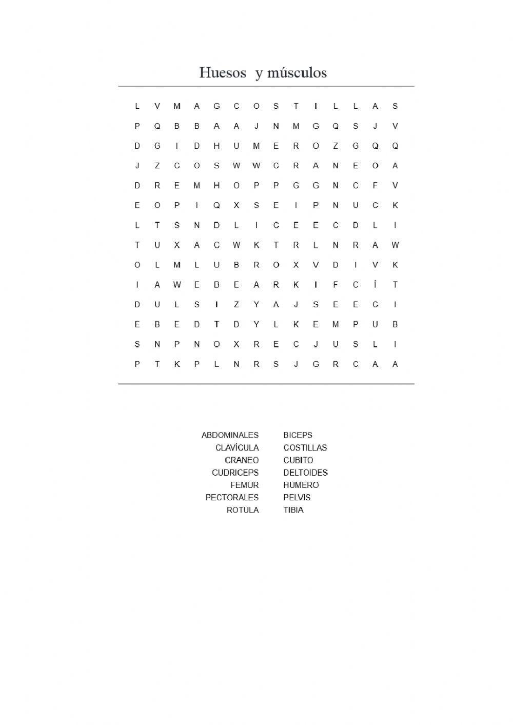 205805 Huesos y músuculos Dalonso LiveWorksheets