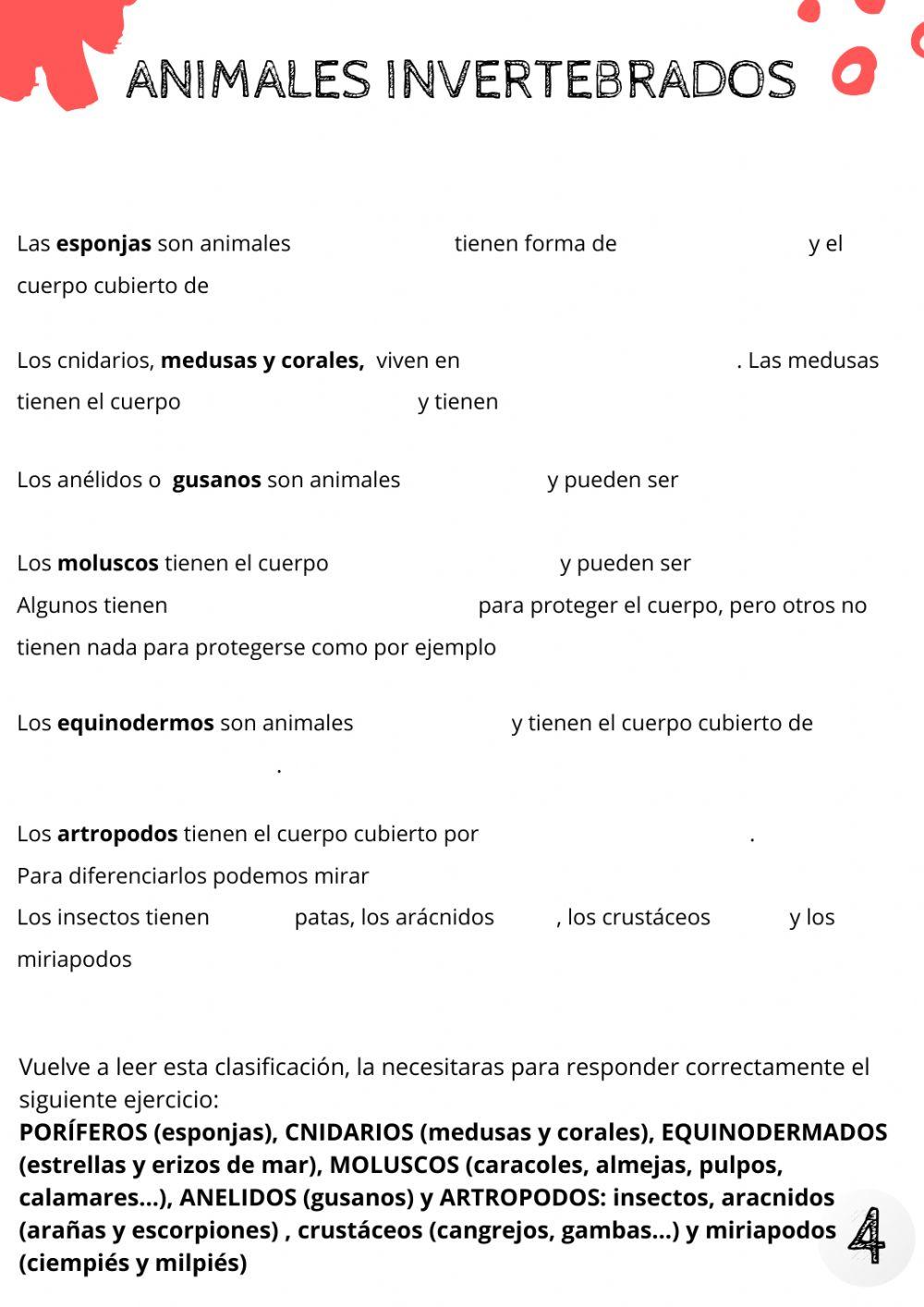 Animales invertebrados