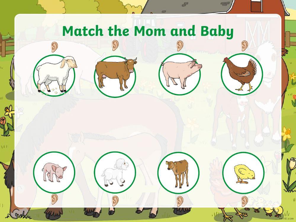 Baby and mum animals