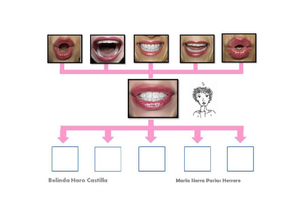 Introducción fonema S inversa