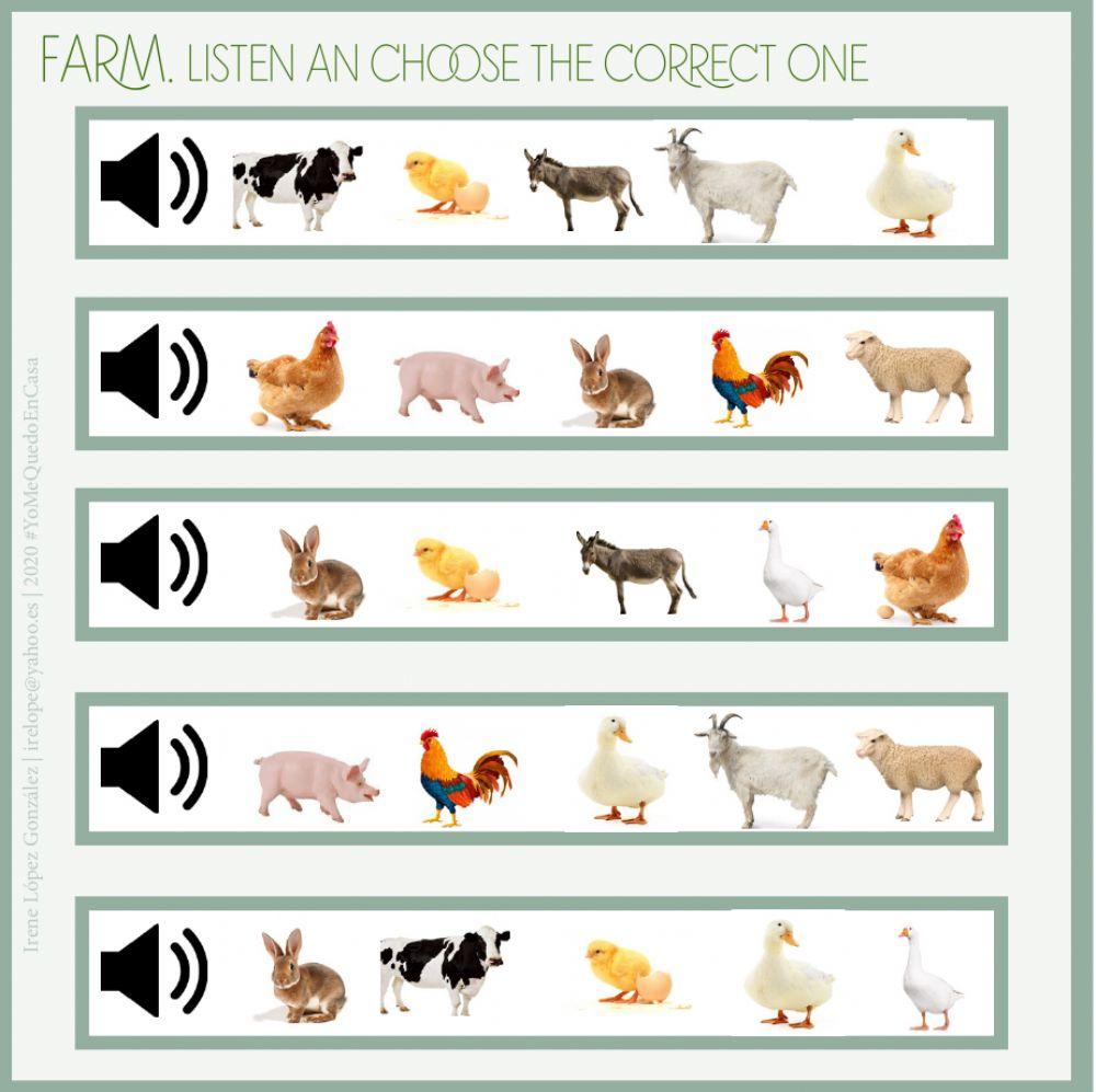 Actividades Animales-Granja 3