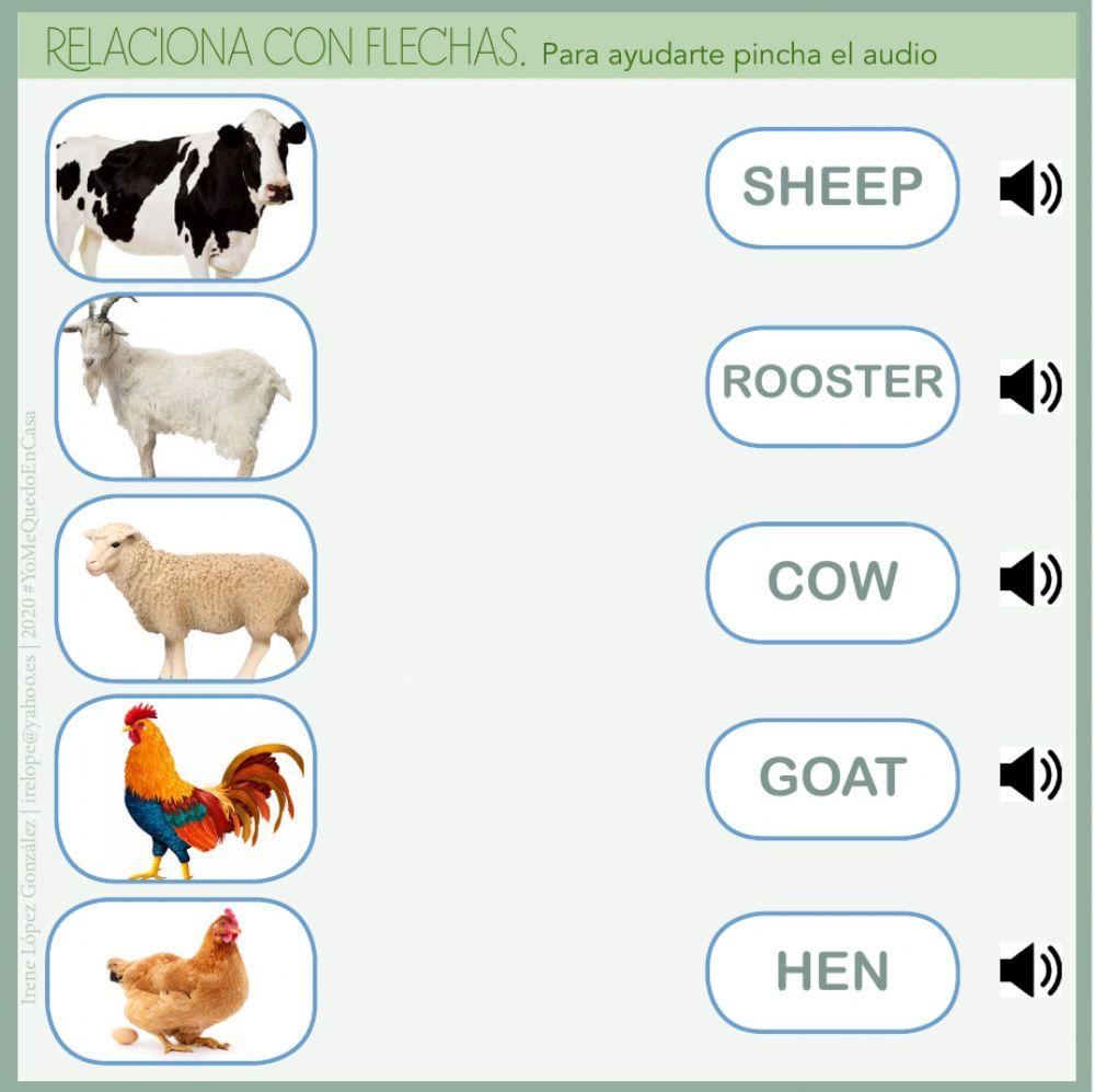 Actividades Animales-Granja 3