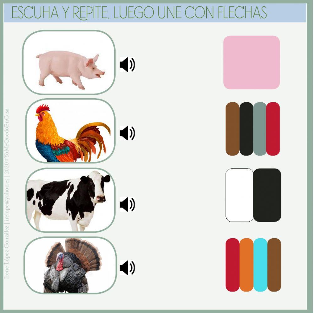 Actividades Animales-Granja 3