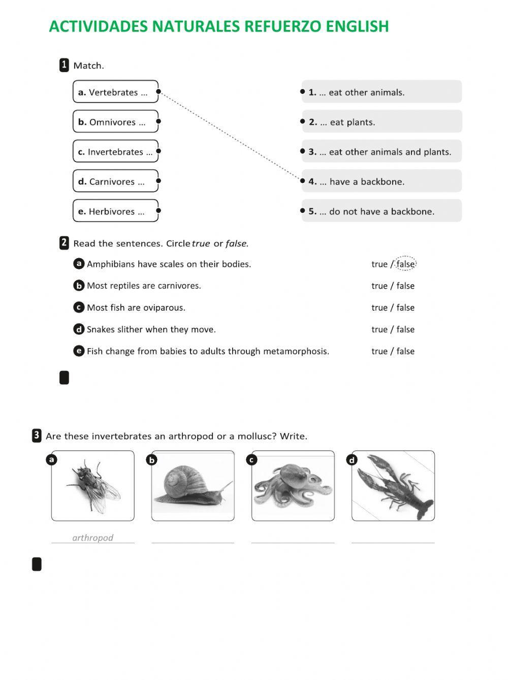 Activities Refuerzo 2 Natural Science 2º Trimestre