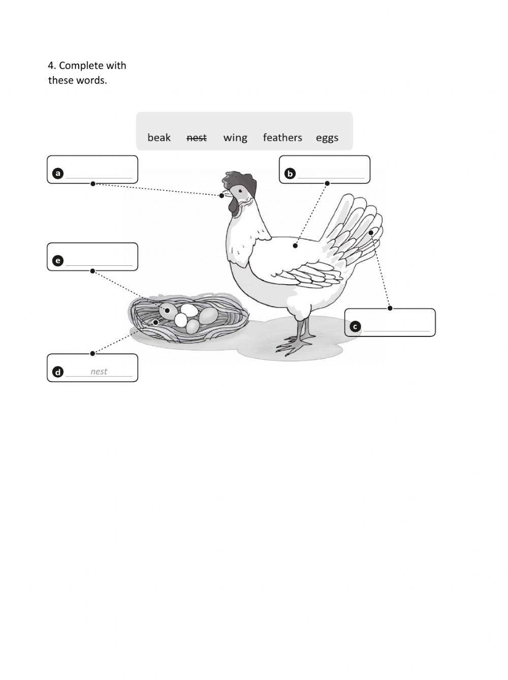 Activities Refuerzo 2 Natural Science 2º Trimestre