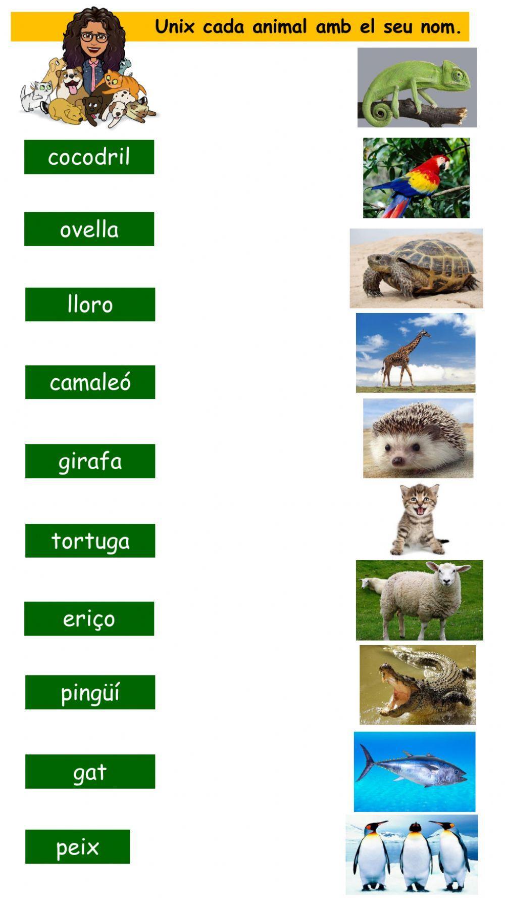 Animals Animals