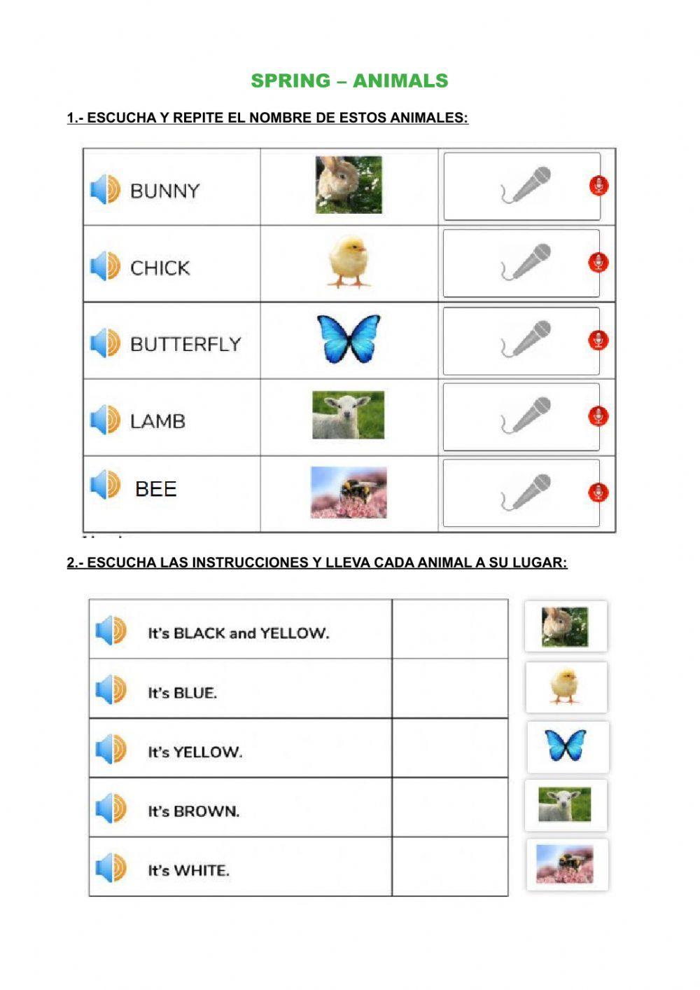 Spring animals Spring animals