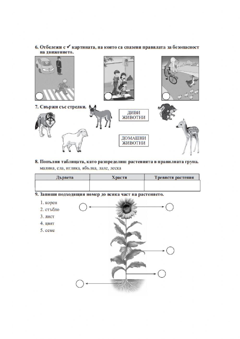 Изходно ниво по околен свят - 1 клас