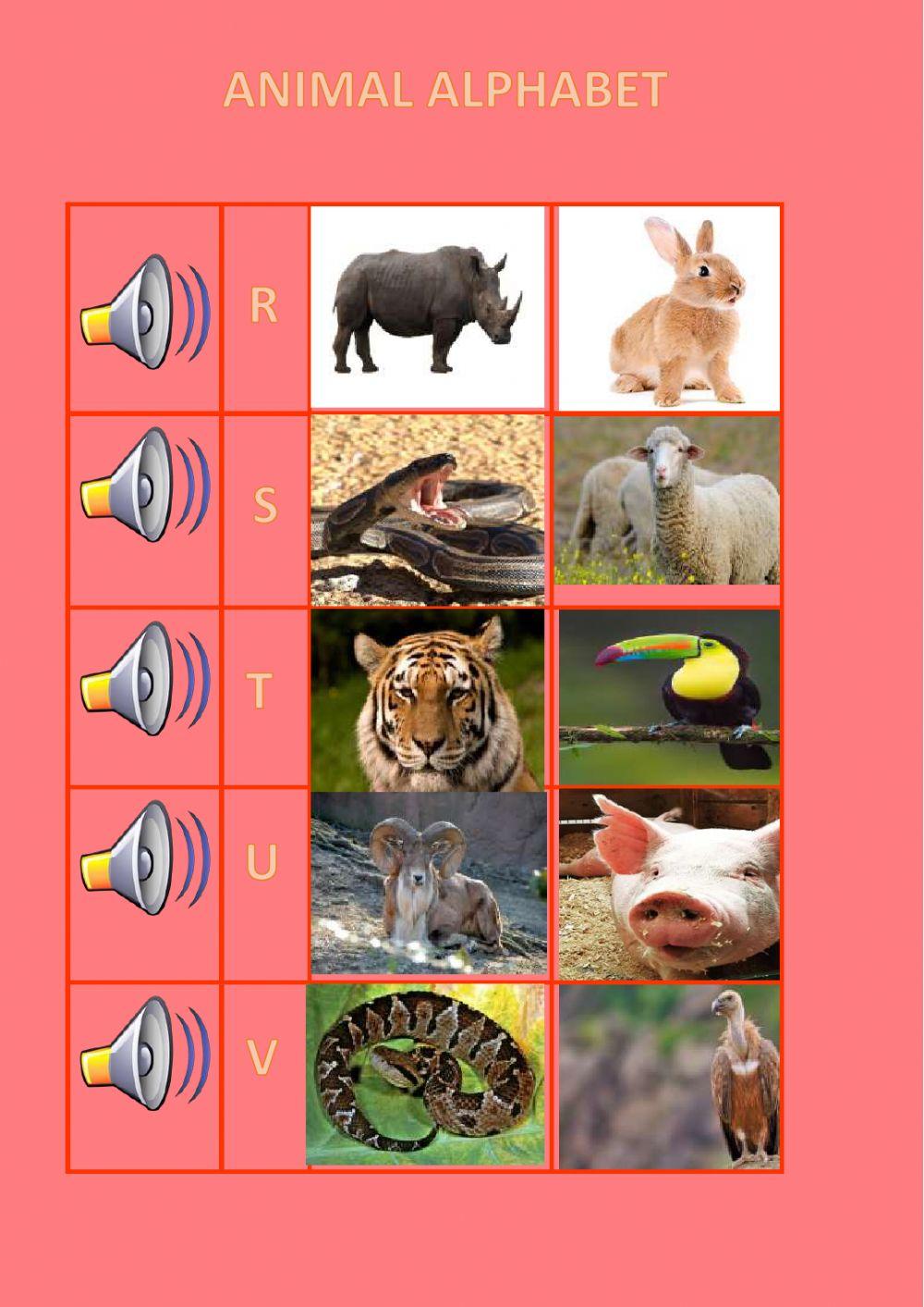Repaso Animal Alphabet M-Z