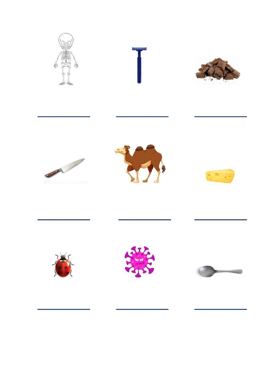 Ortografía ca, que, qui, co, cu.