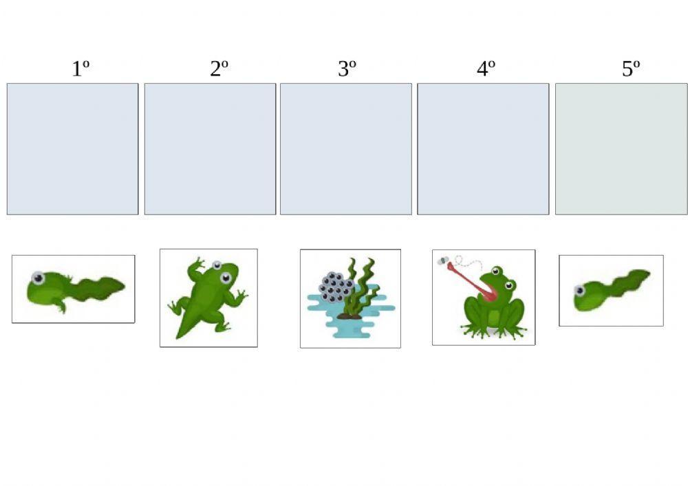 Secuencias temporales 5 viñetas