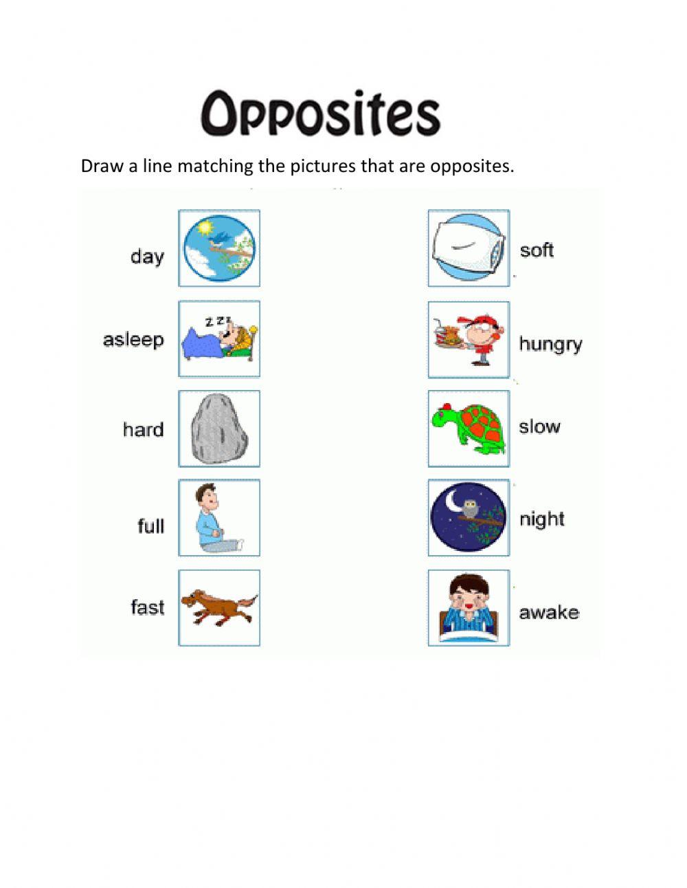 Opposites Artwork