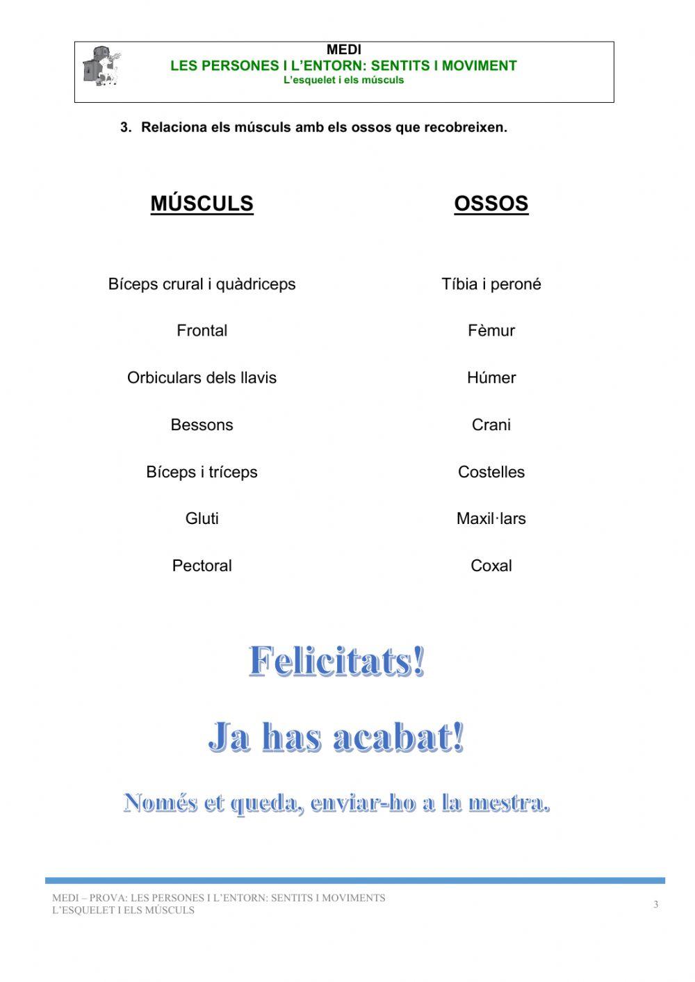 L'esquelet i els músculs