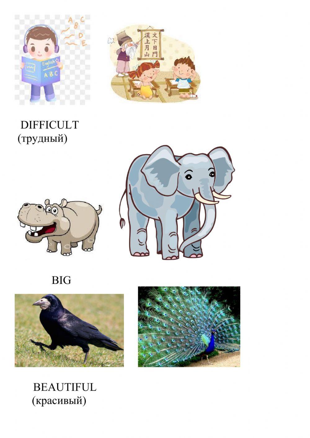 Degrees of comparison (COMPARATIVE FORM)