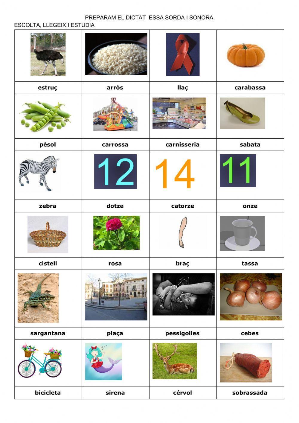 Preparam dictat s sorda i sonora