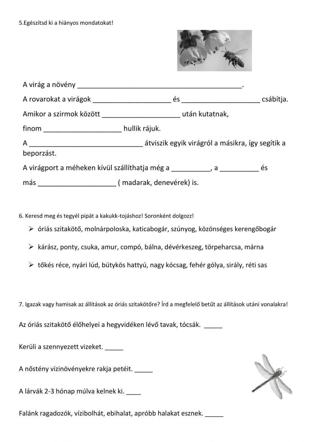 A vizek, vízpartok életközössége