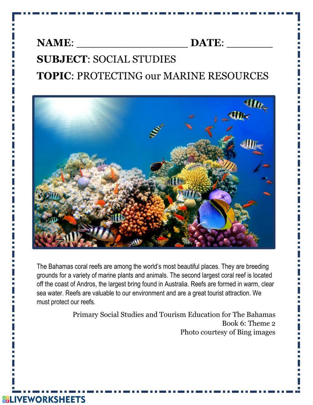 Protecting Our Marine Resources