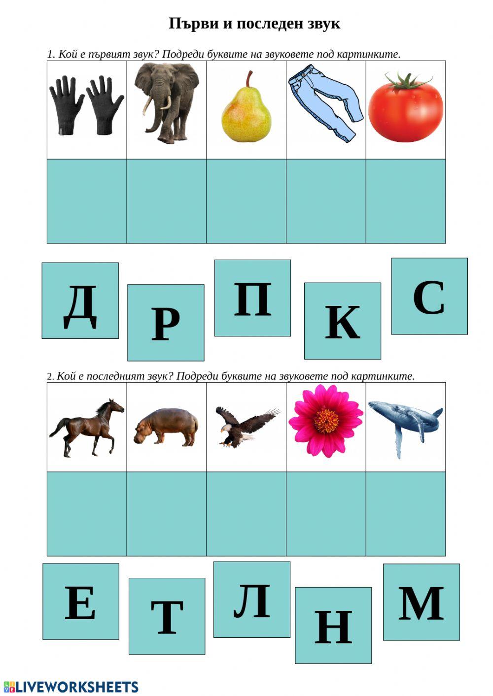 Първи и последен звук