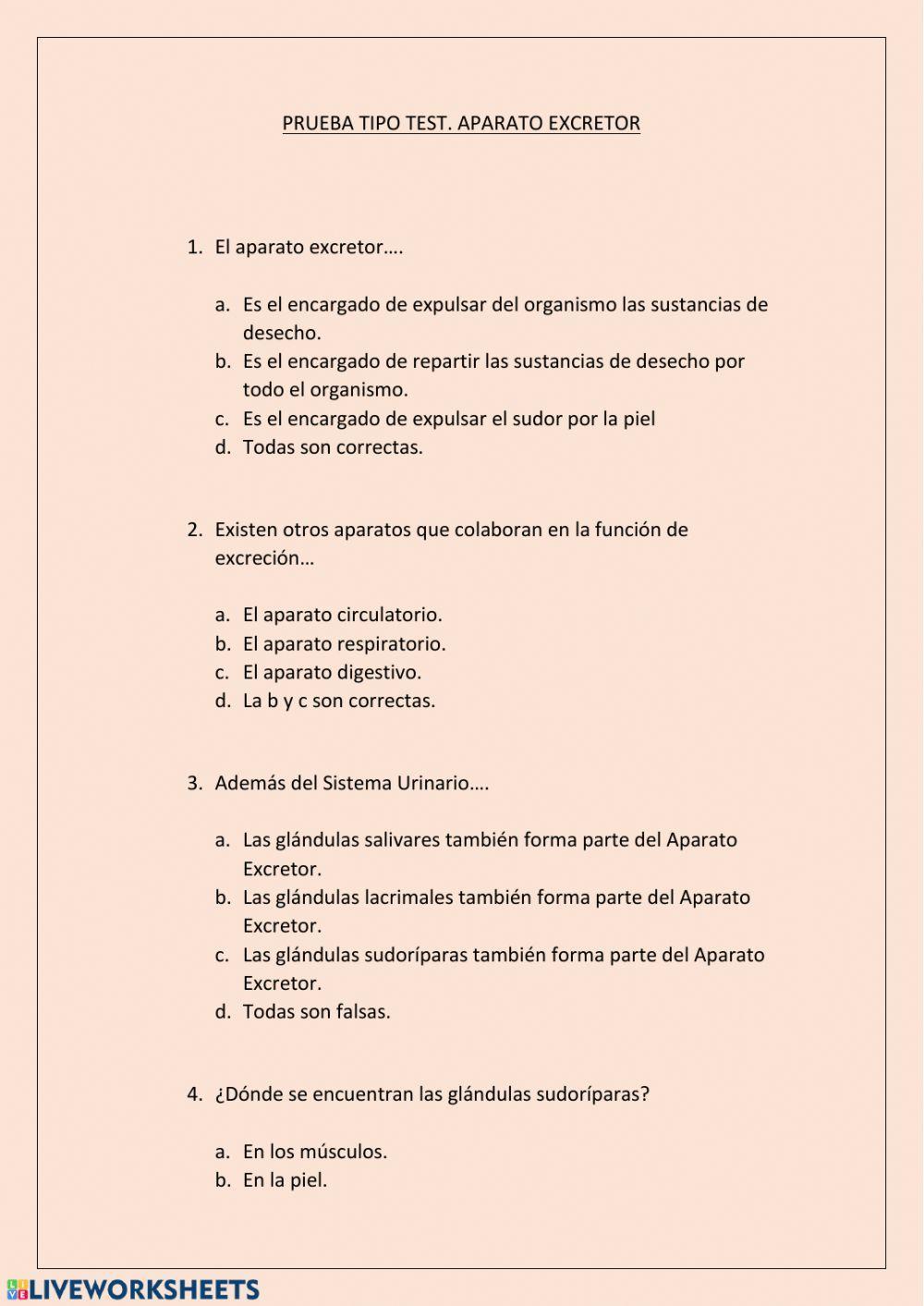 Test aparato Excretor