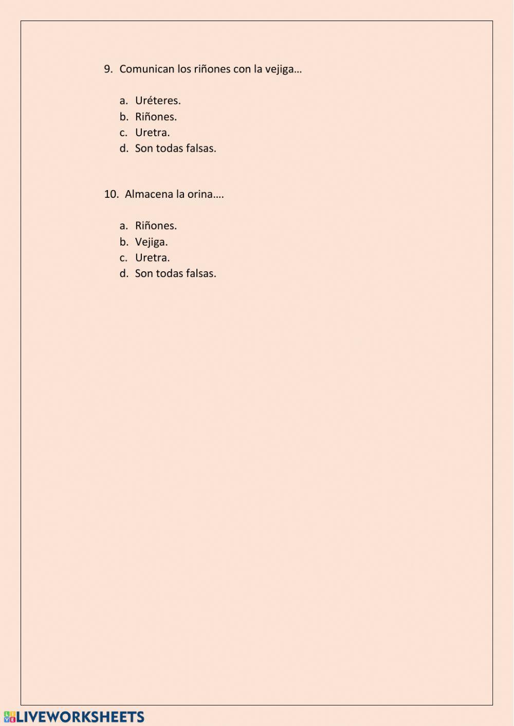 Test aparato Excretor