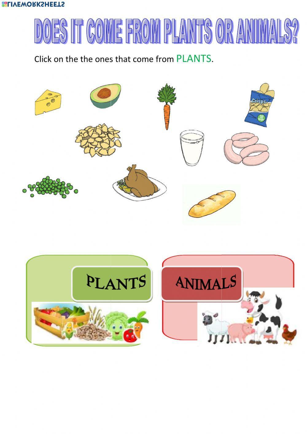 Origin of foods