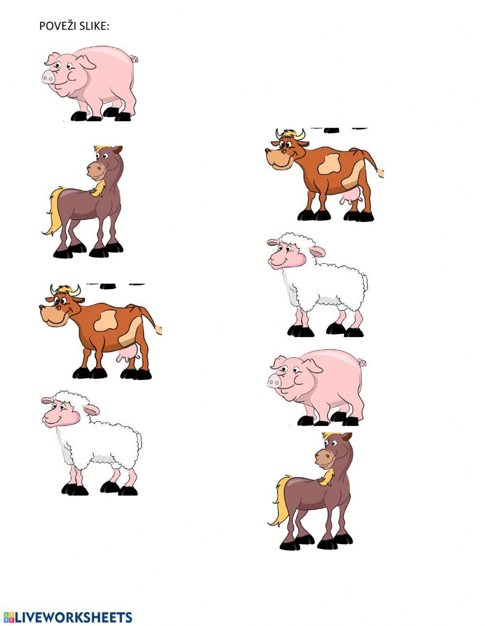 Farm animals1