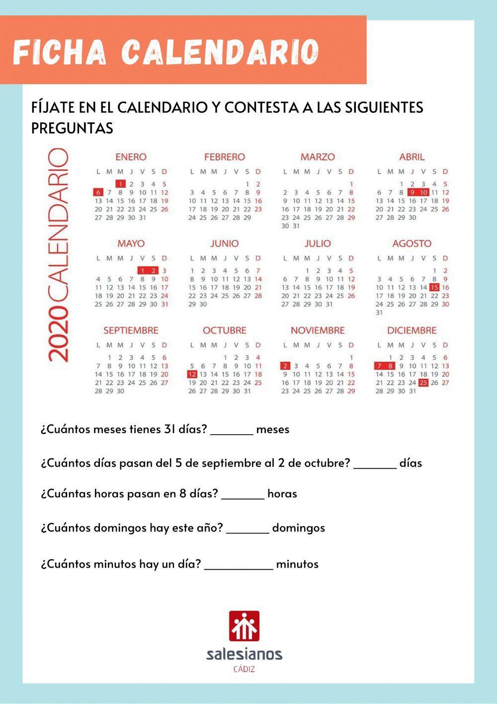 Ficha Calendario