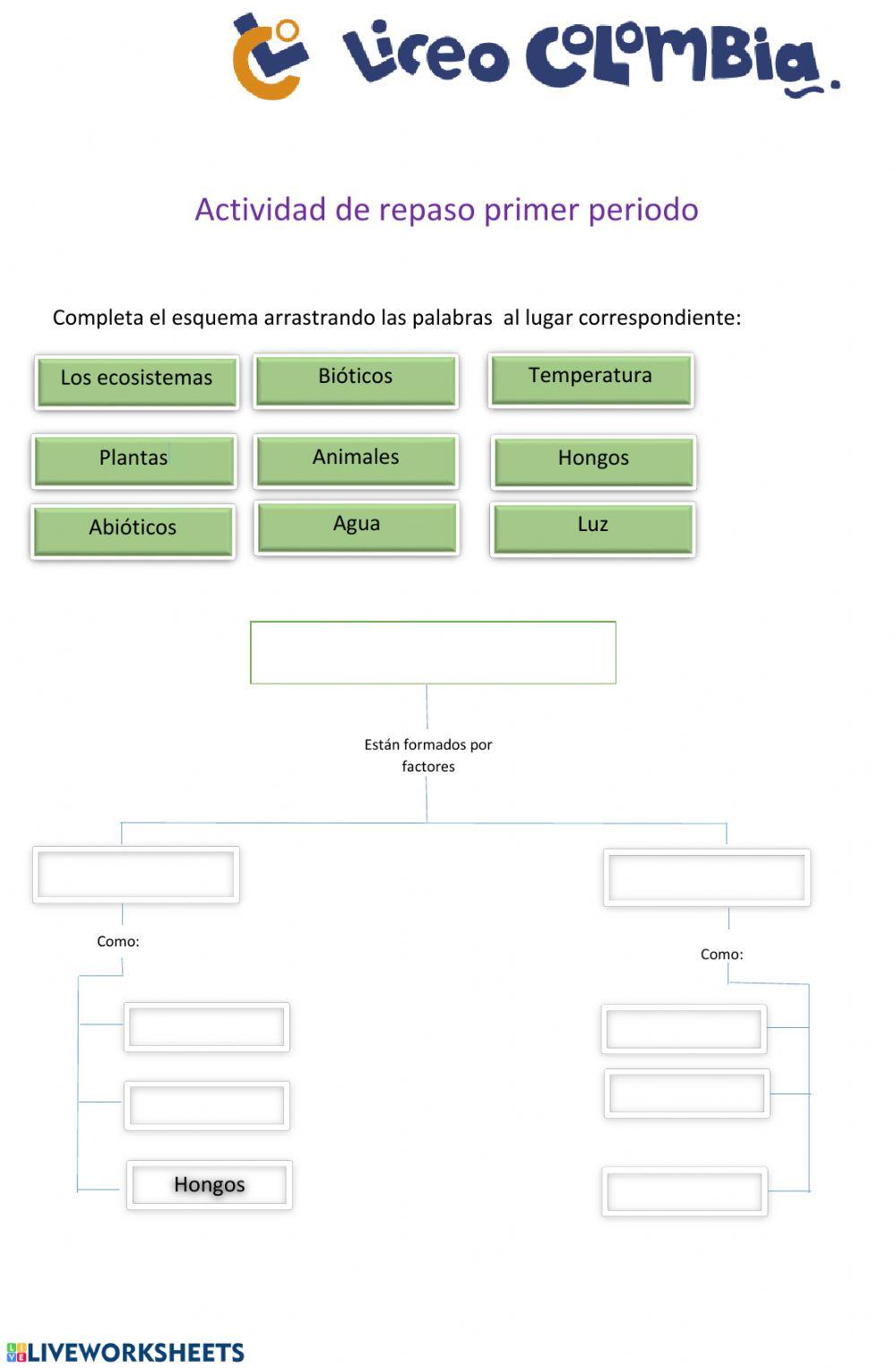 Actividad de repaso primer periodo