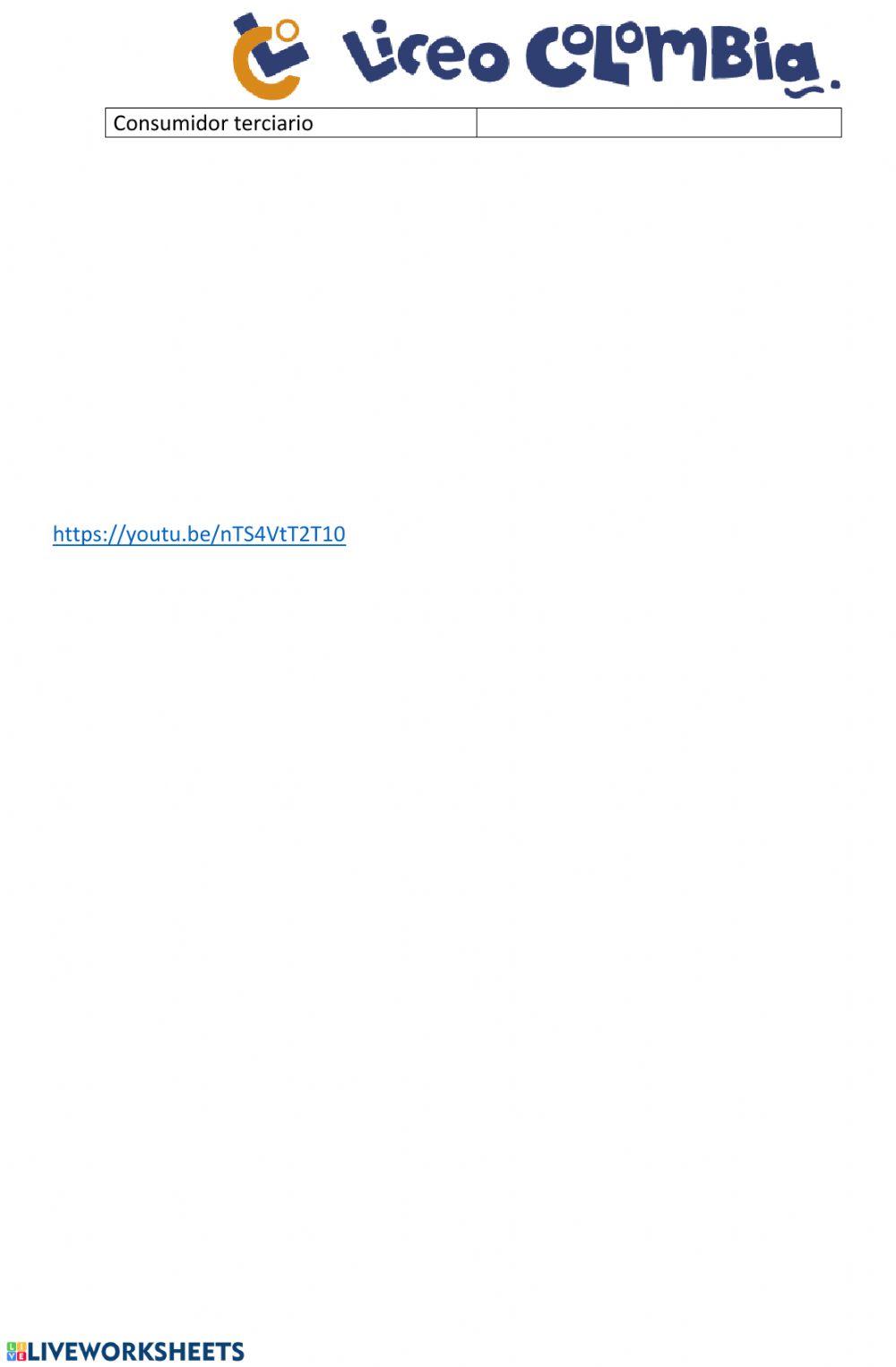 Actividad de repaso primer periodo